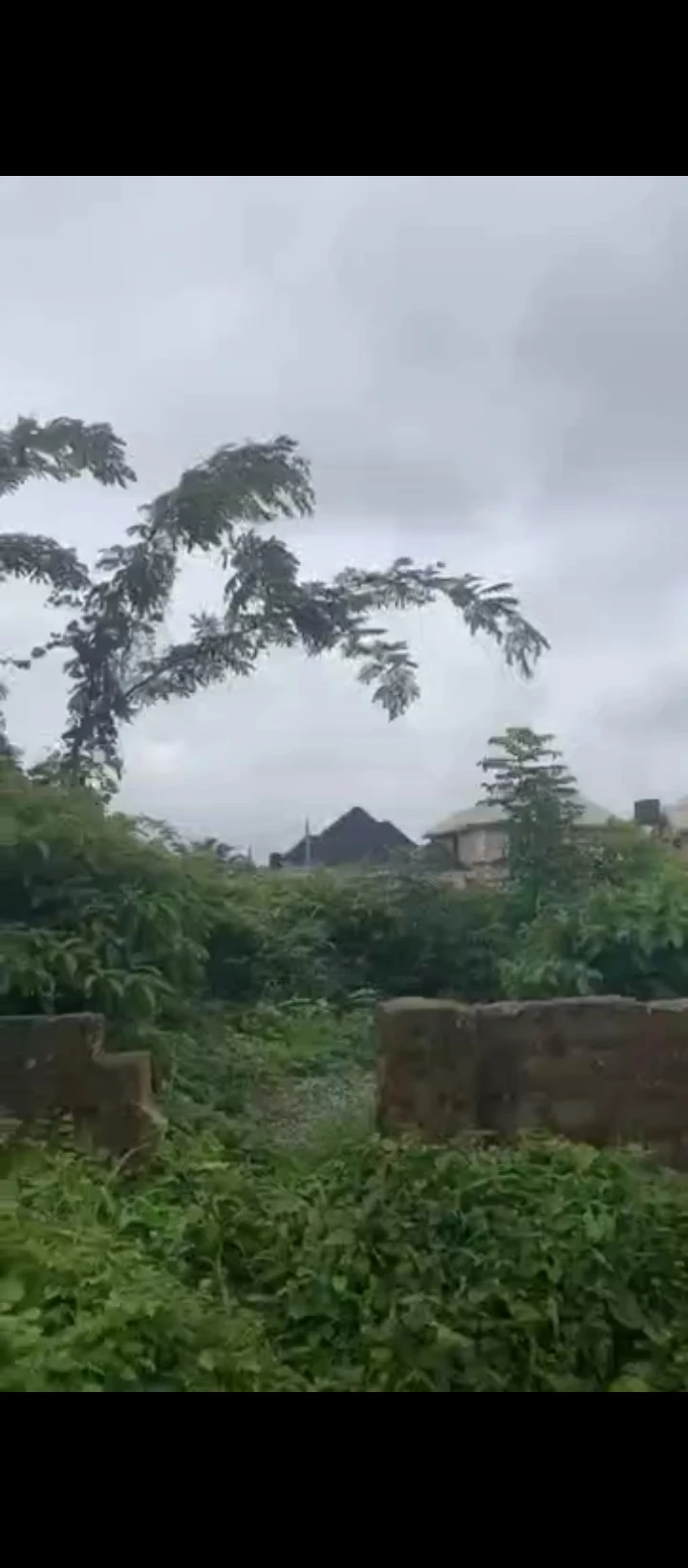 Land for Sale in Ogunwemnyi, Edo - Image 2