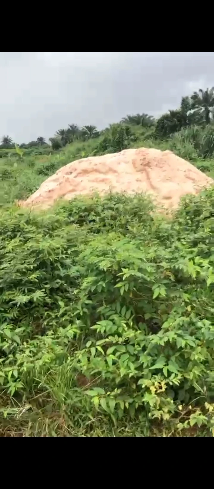 Land for Sale in Idogbo, Edo - Image 5