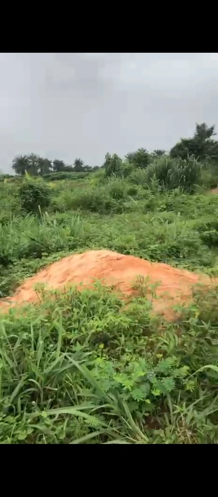 Land for Sale in Idogbo, Edo - Image 1