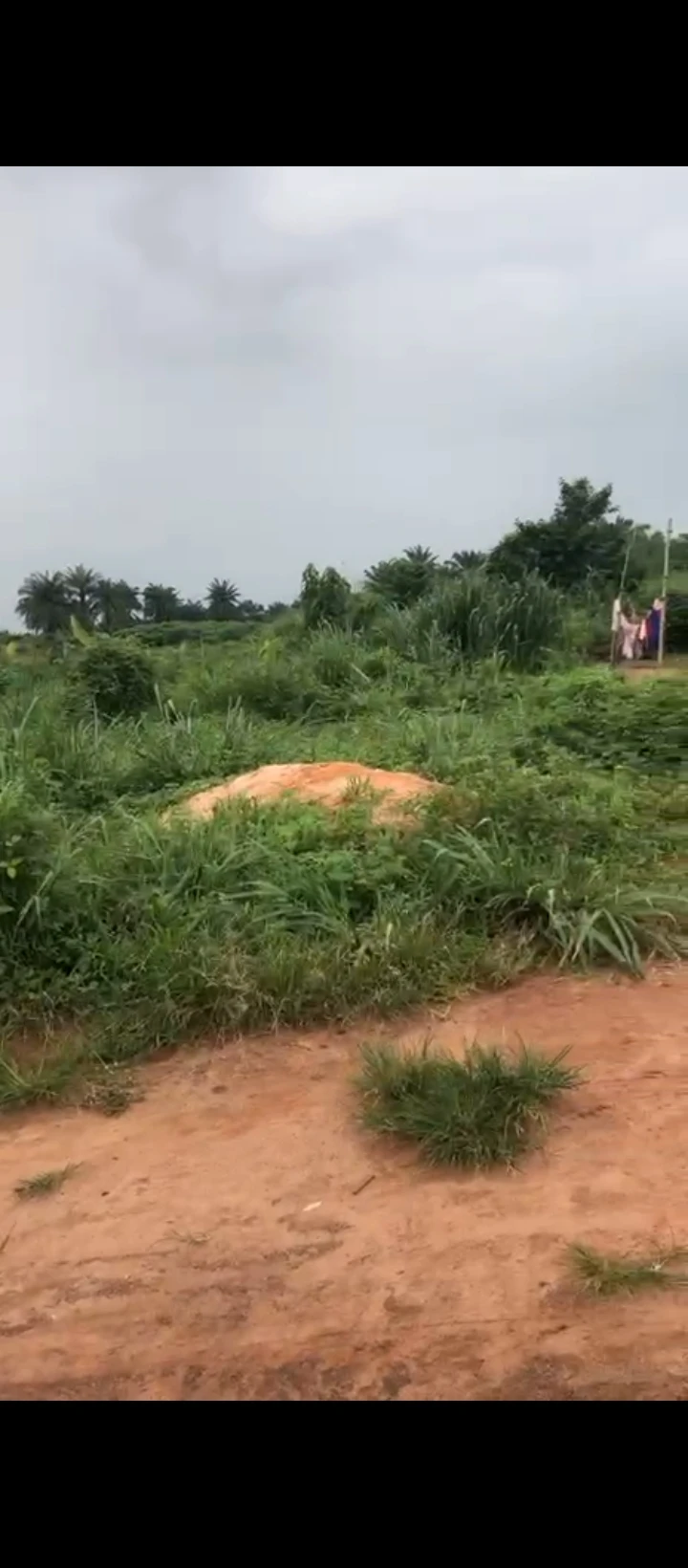 Land for Sale in Idogbo, Edo - Image 3