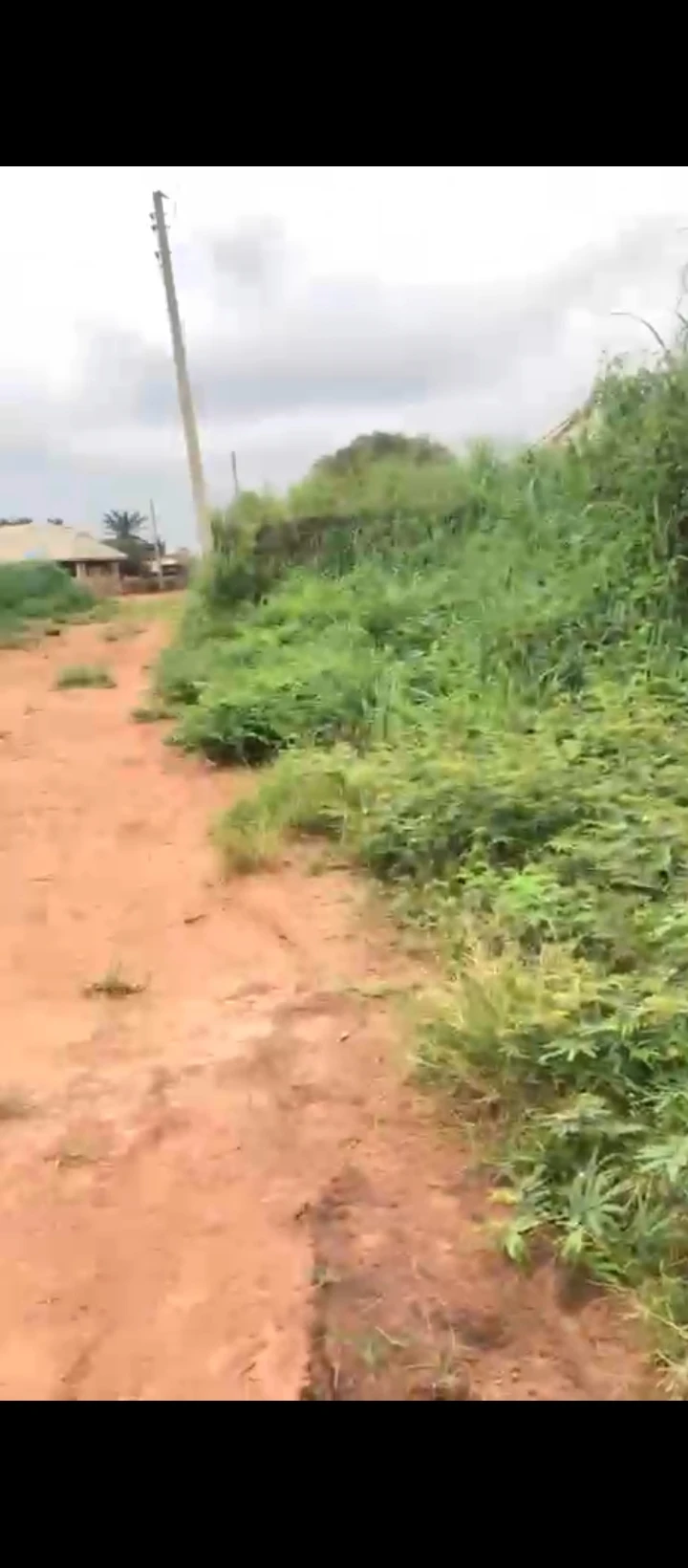 Land for Sale in Idogbo, Edo - Image 4