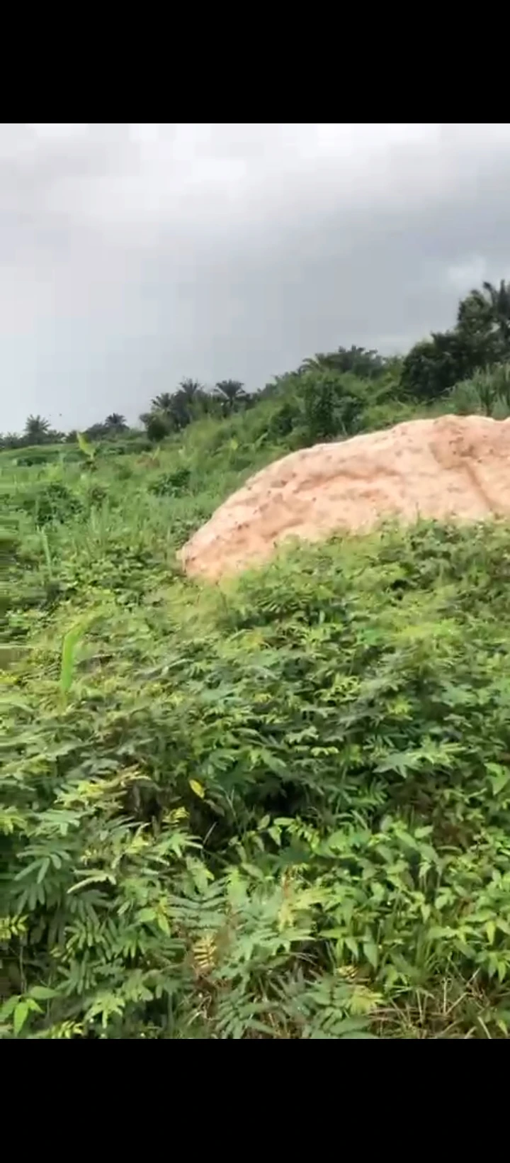 Land for Sale in Idogbo, Edo - Image 6