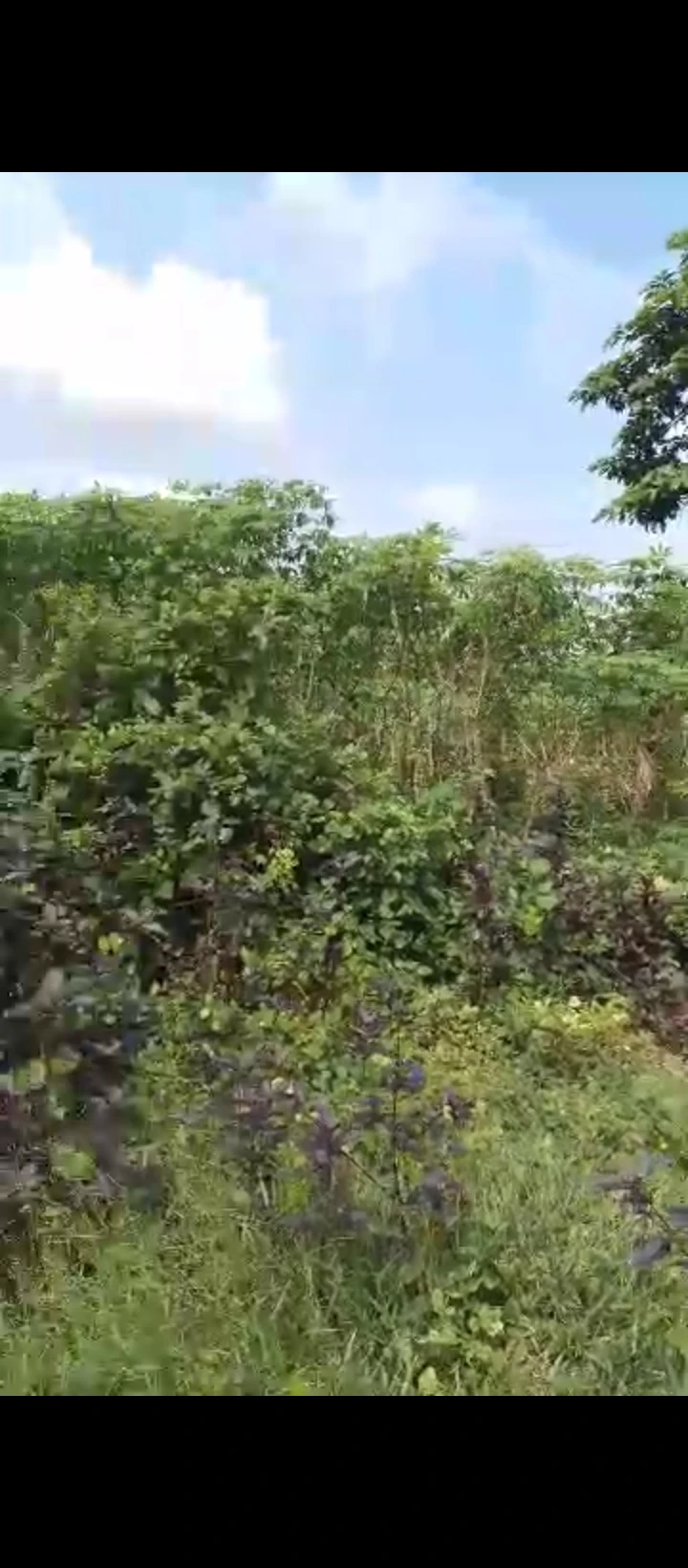 Land for Sale in Upper mission extension, Edo - Image 1