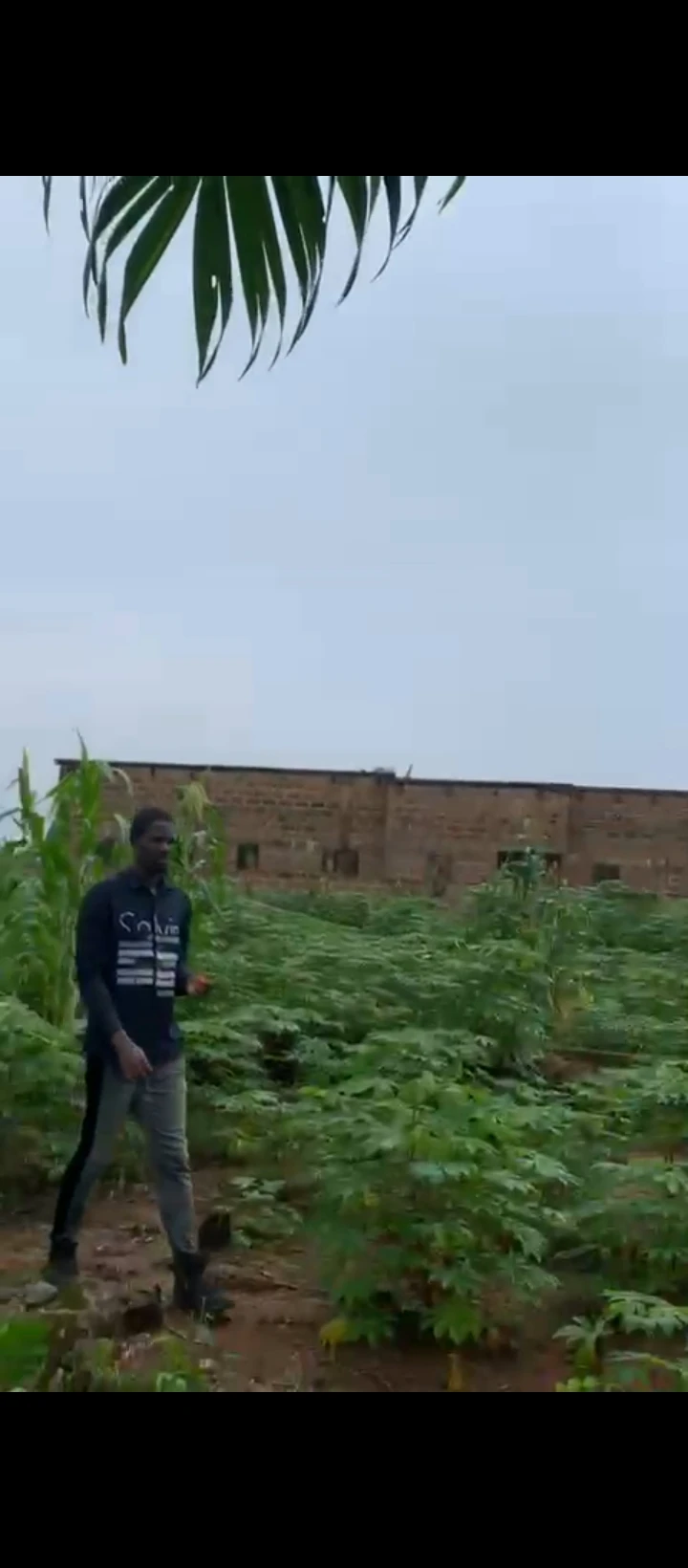 Land for Sale in Ogheghe, Edo - Image 4