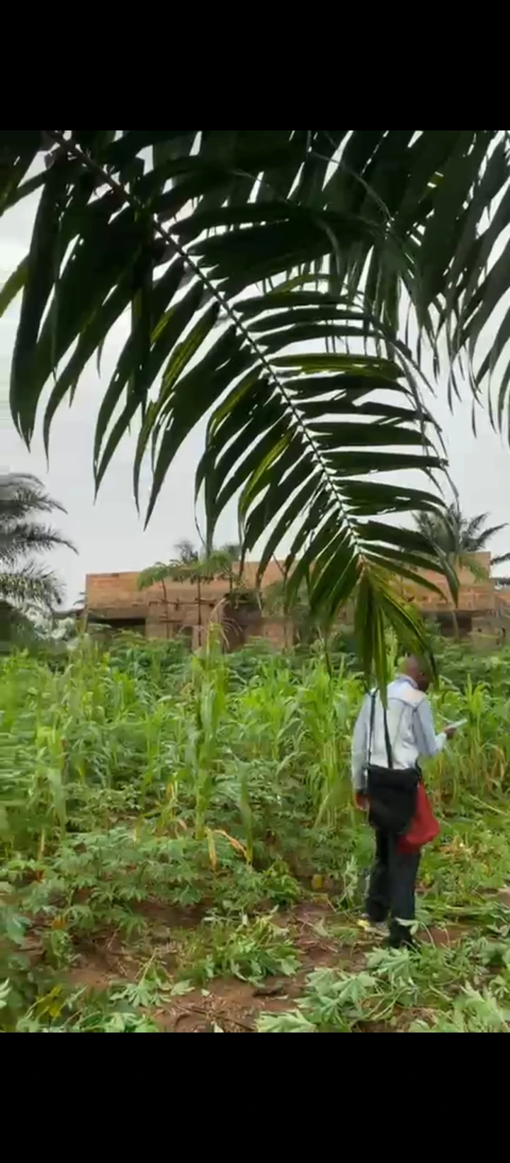 Land for Sale in Ogheghe, Edo - Image 5