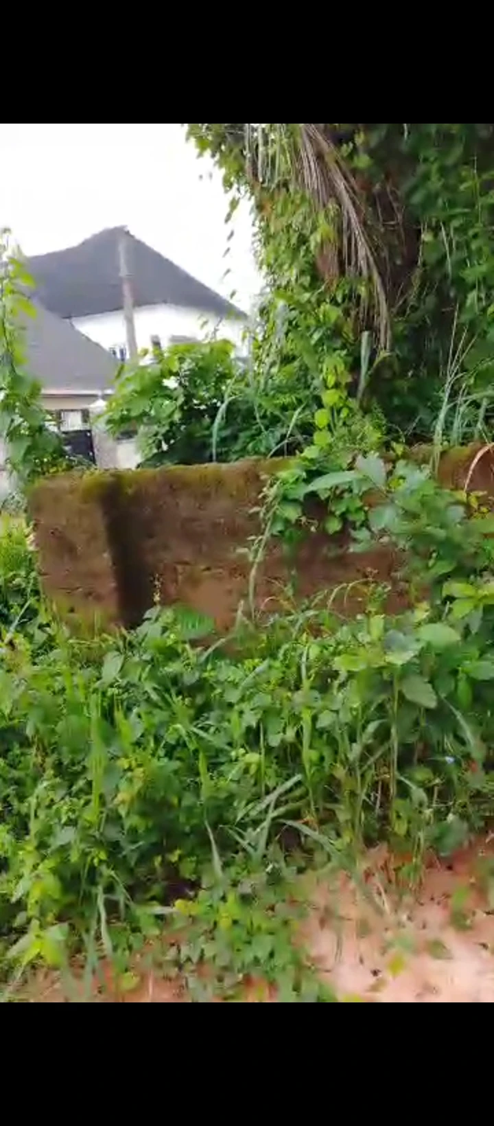 Land for Sale in Ogunwemnyi/ugbor, Edo - Image 4