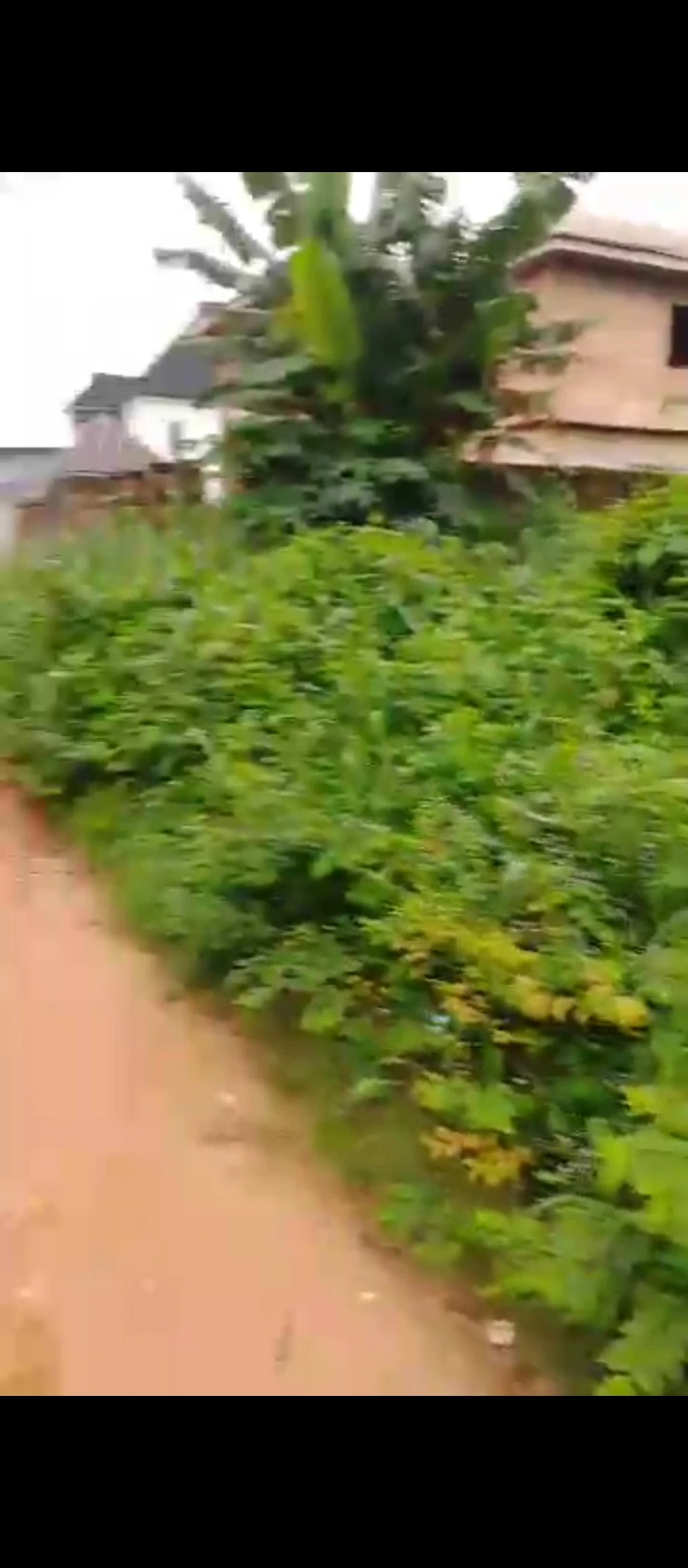 Land for Sale in Ogunwemnyi/ugbor, Edo - Image 3