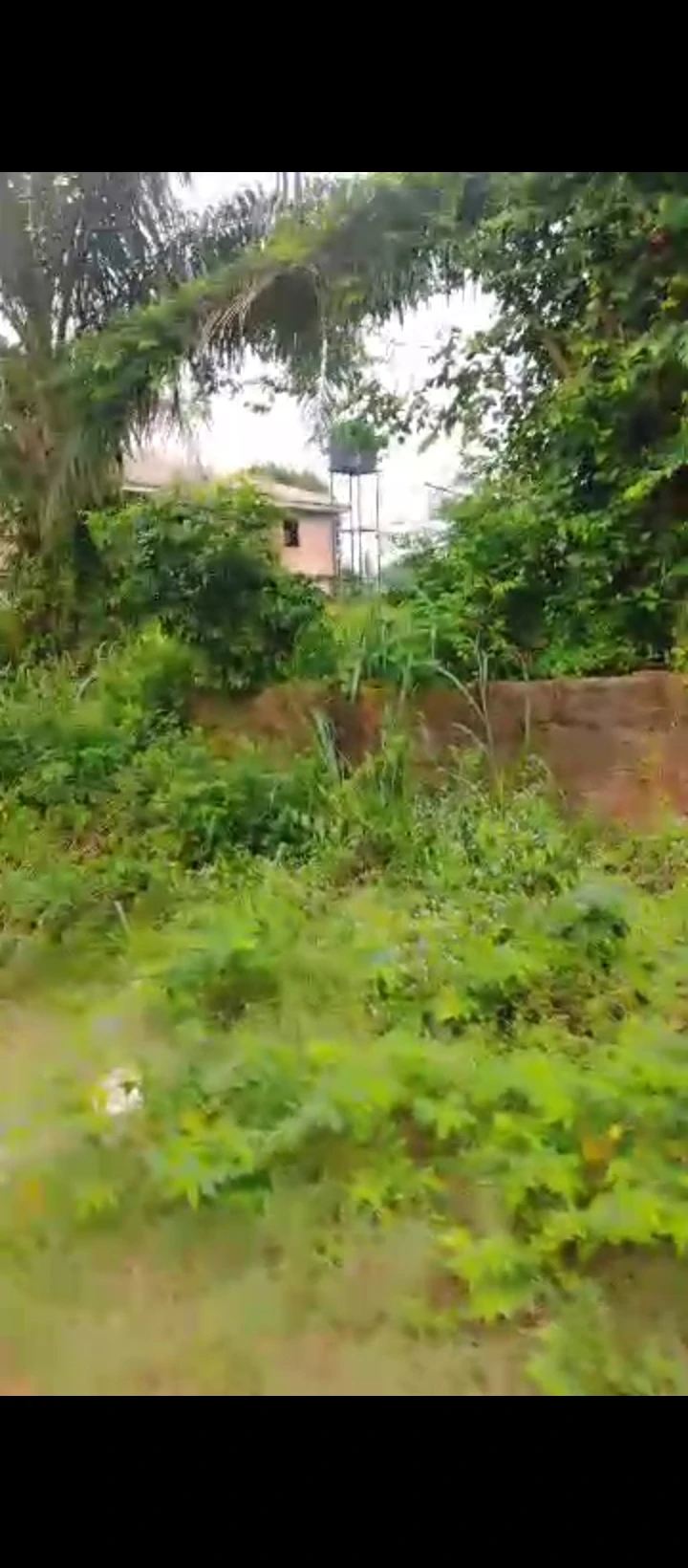 Land for Sale in Ogunwemnyi/ugbor, Edo - Image 1
