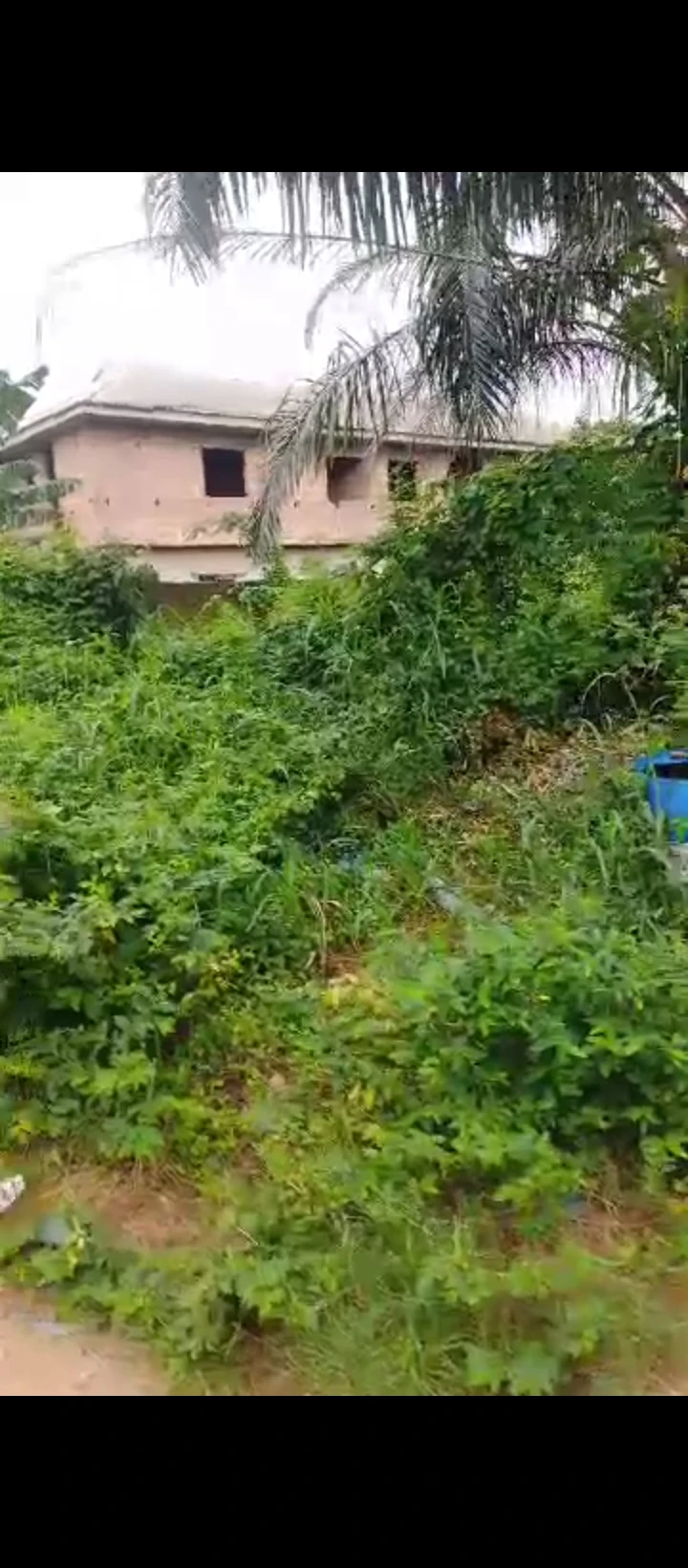 Land for Sale in Ogunwemnyi/ugbor, Edo - Image 2