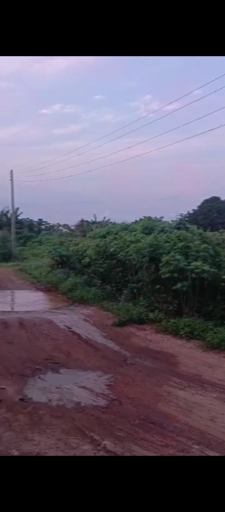Land for Sale in Ogunwemnyi/ugbor, Edo - Image 4