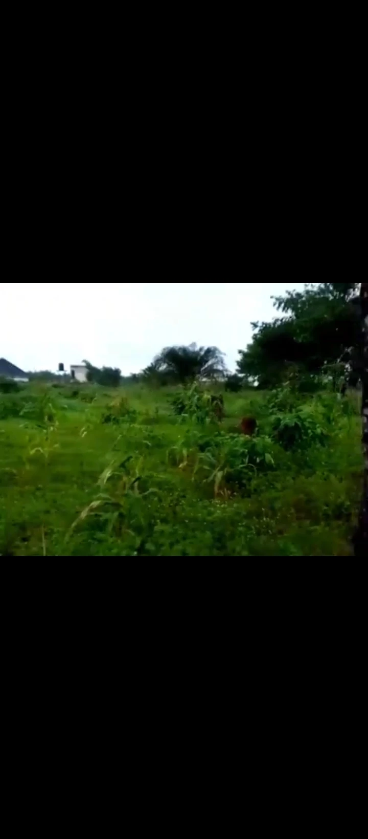 Land for Sale in Obazagbon/airport road, Edo - Image 5