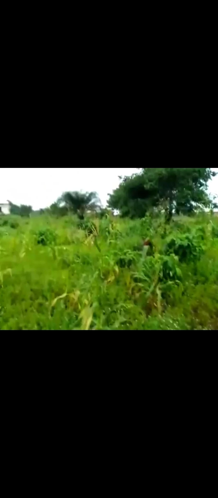 Land for Sale in Obazagbon/airport road, Edo - Image 4