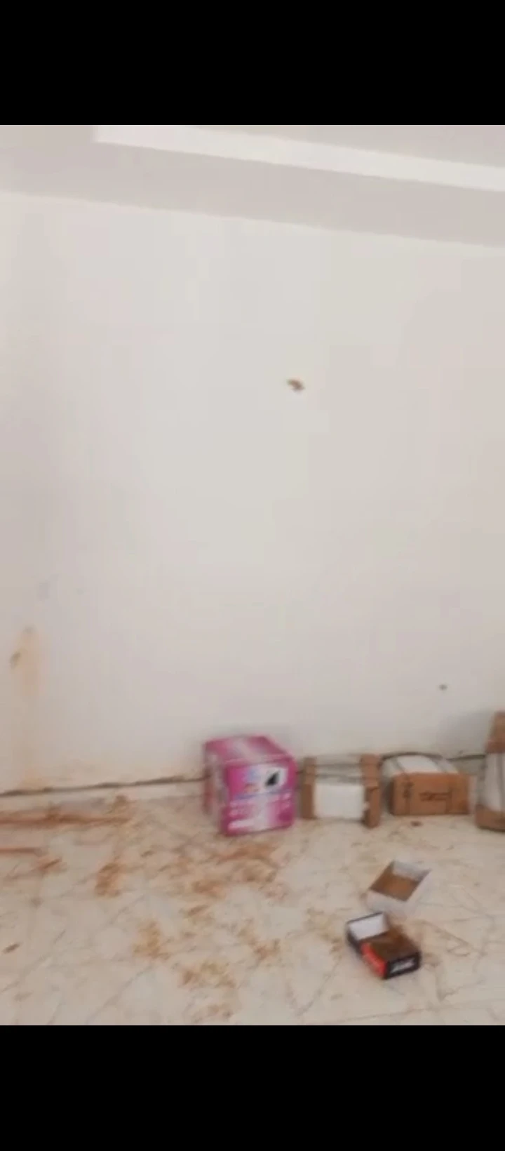 2 Bedroom Flat for Rent in Peanut sapele road, Edo - Image 5