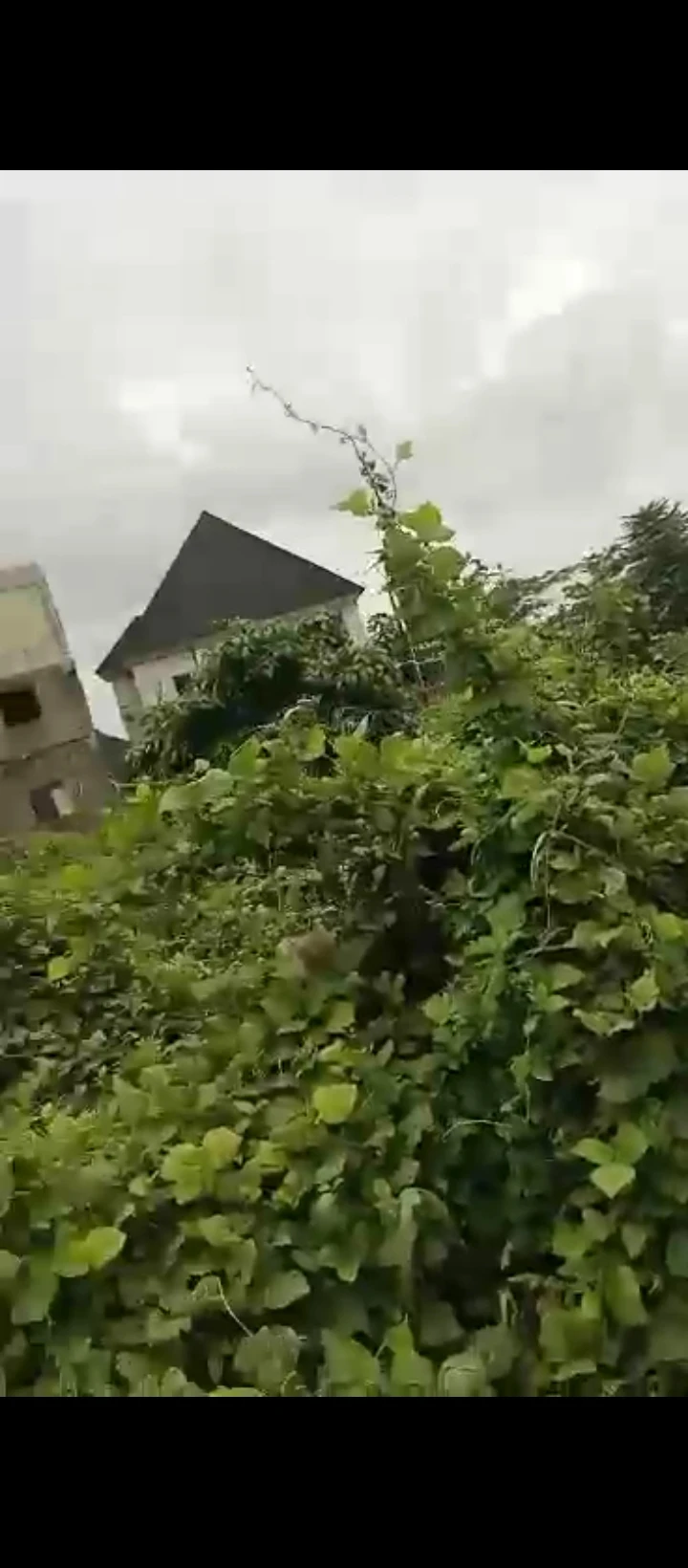 Land for Sale in Ugbor central, Edo - Image 4