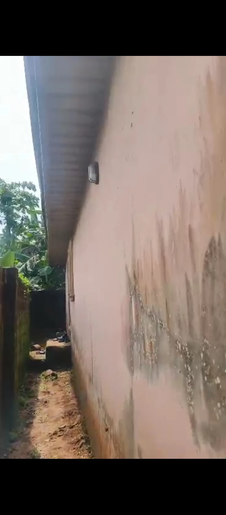 1 Bedroom Flat for Sale in Isihor, Edo - Image 4