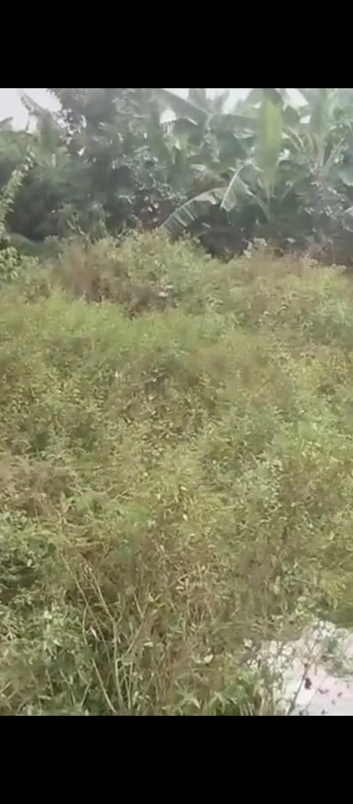 Land for Sale in Country home, Edo - Image 2