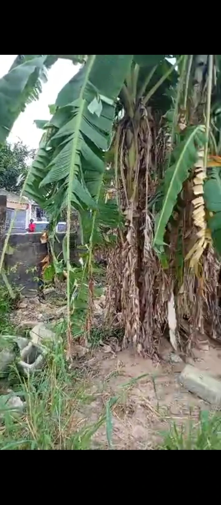 Land for Sale in Evkhuku sapele road, Edo - Image 5