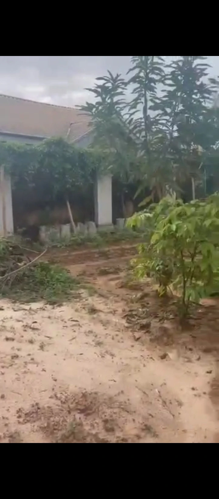 Bungalow for Sale in Ugbor, Edo - Image 5
