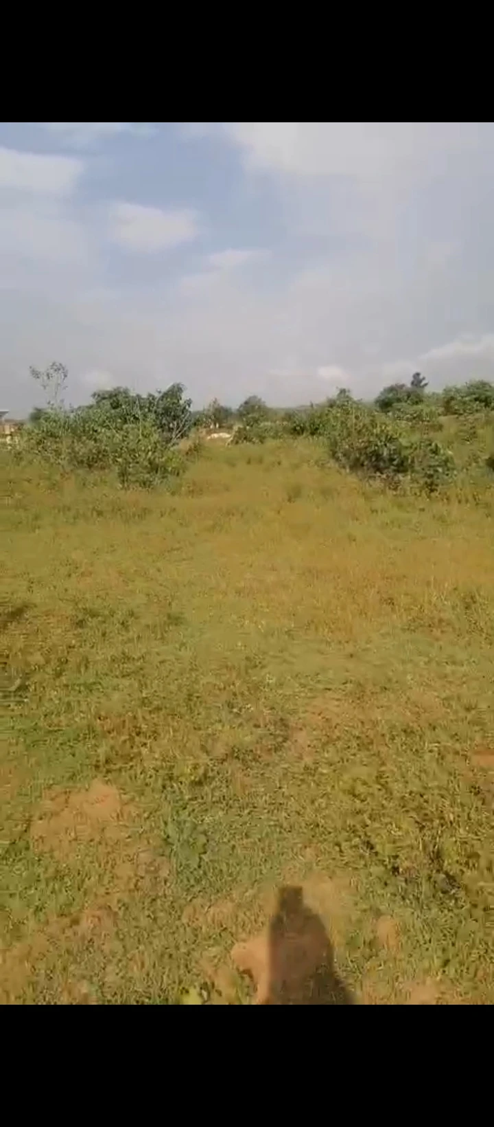 Land for Sale in Obagie, Edo - Image 6
