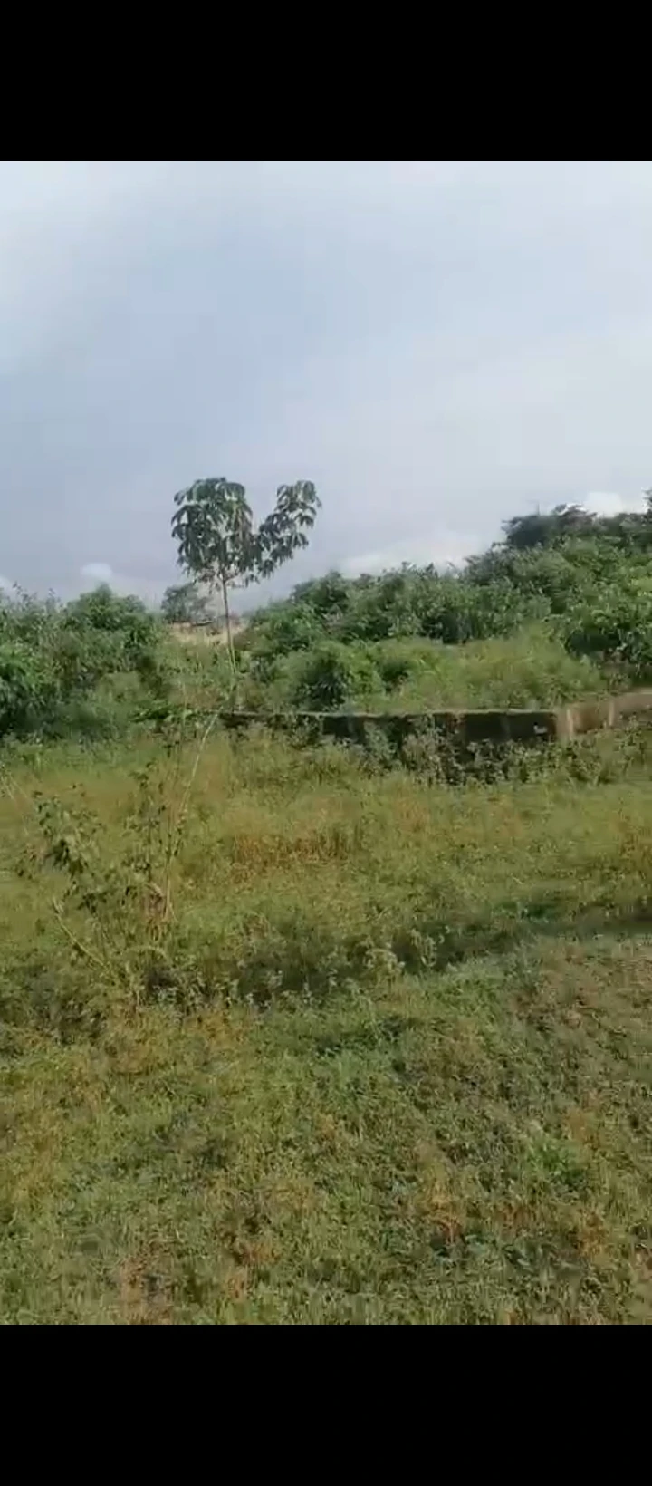 Land for Sale in Obagie, Edo - Image 3