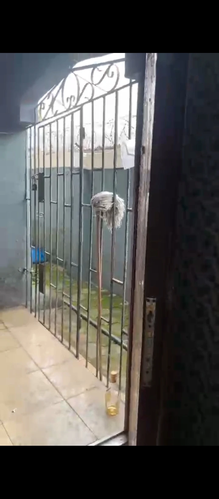 3 Bedroom Flat for Sale in Ugbor gra, Edo - Image 6