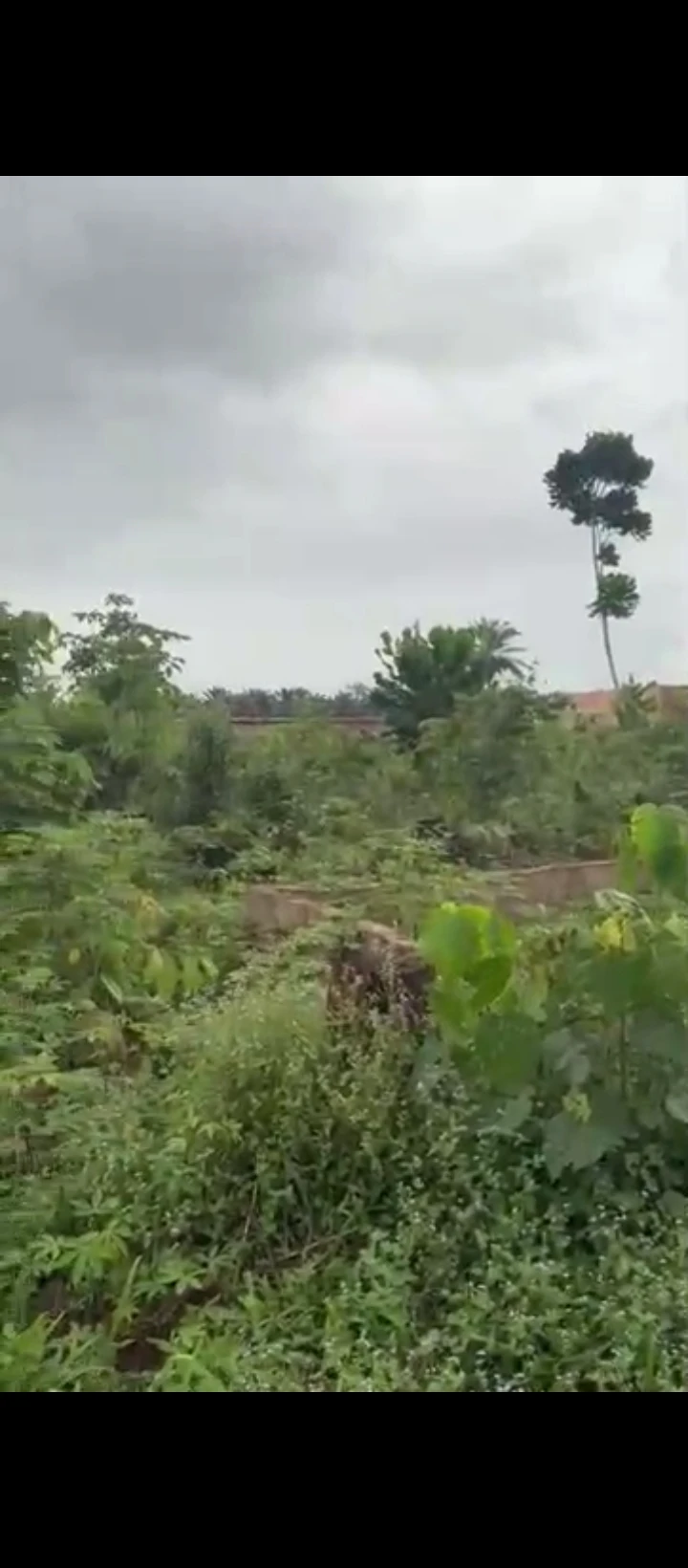 Land for Sale in Isihor/evidence, Edo - Image 4