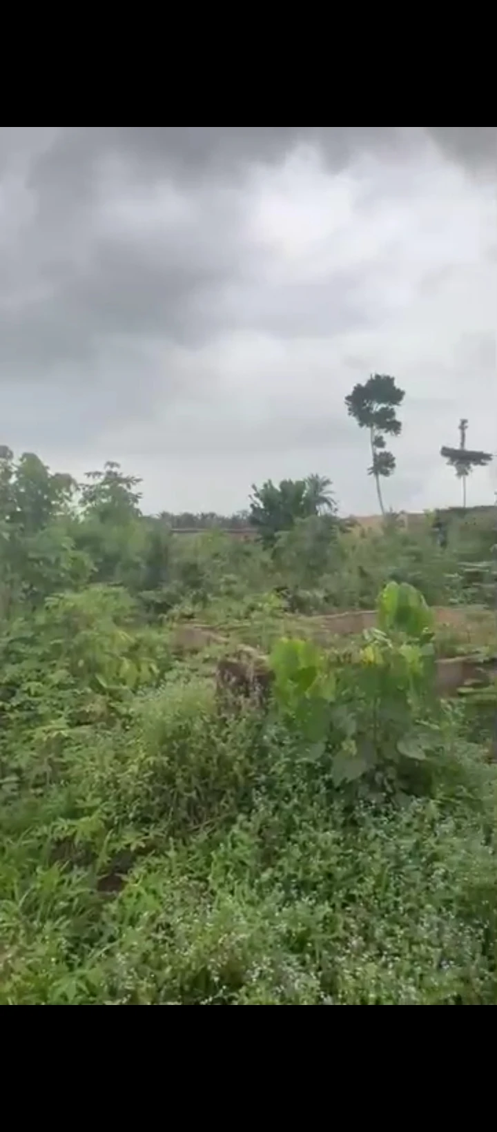 Land for Sale in Isihor/evidence, Edo - Image 2