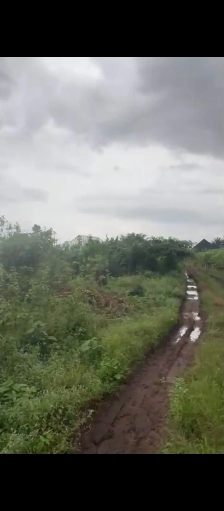 Land for Sale in Isihor/evidence, Edo - Image 3