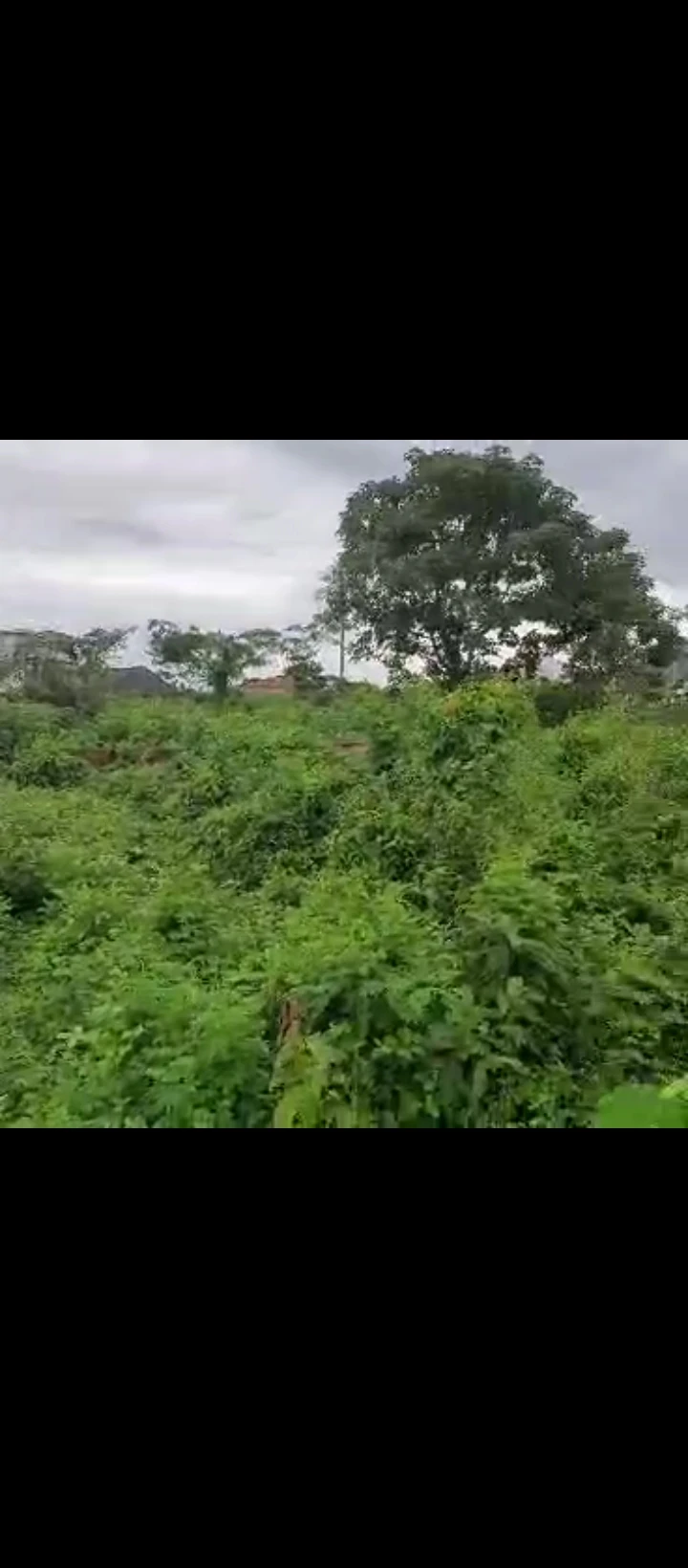 Land for Sale in Okah sapele road, Edo - Image 4
