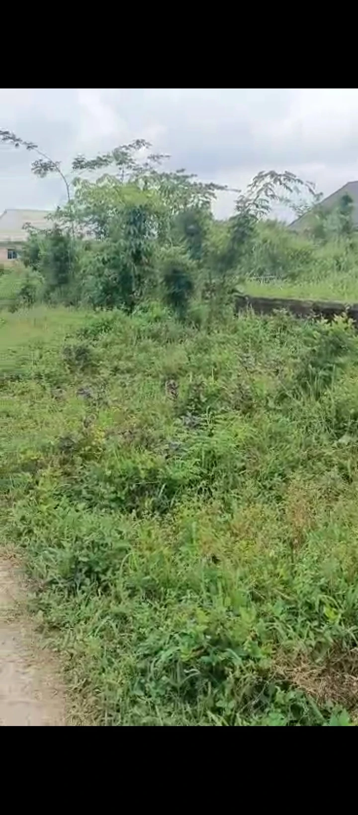 Land for Sale in Ogheghe sapele road, Edo - Image 3