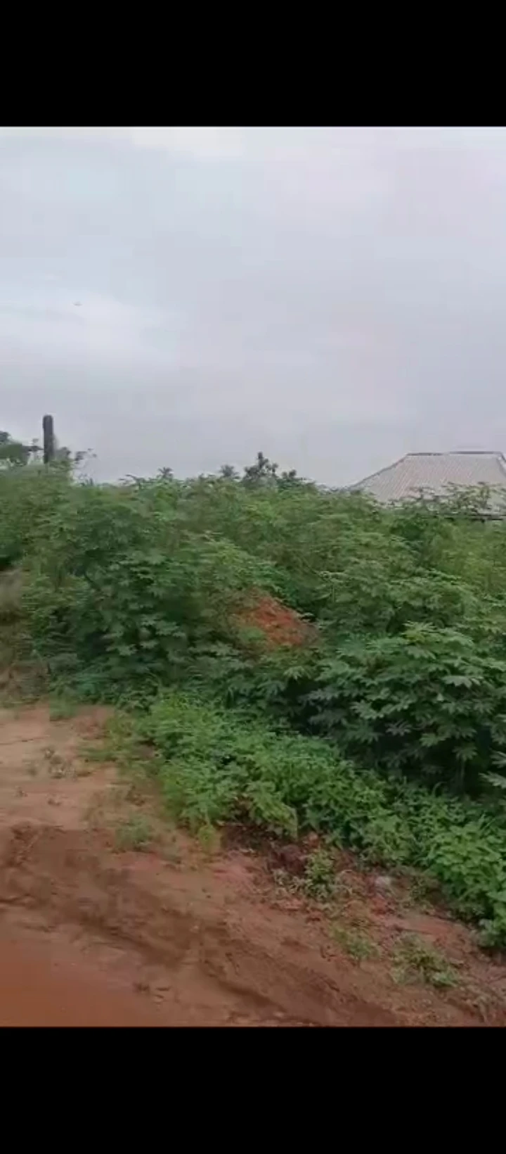 Land for Sale in Airport road, Edo - Image 6