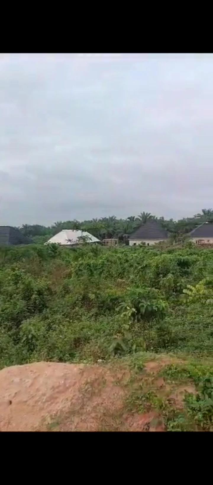 Land for Sale in Airport road, Edo - Image 5