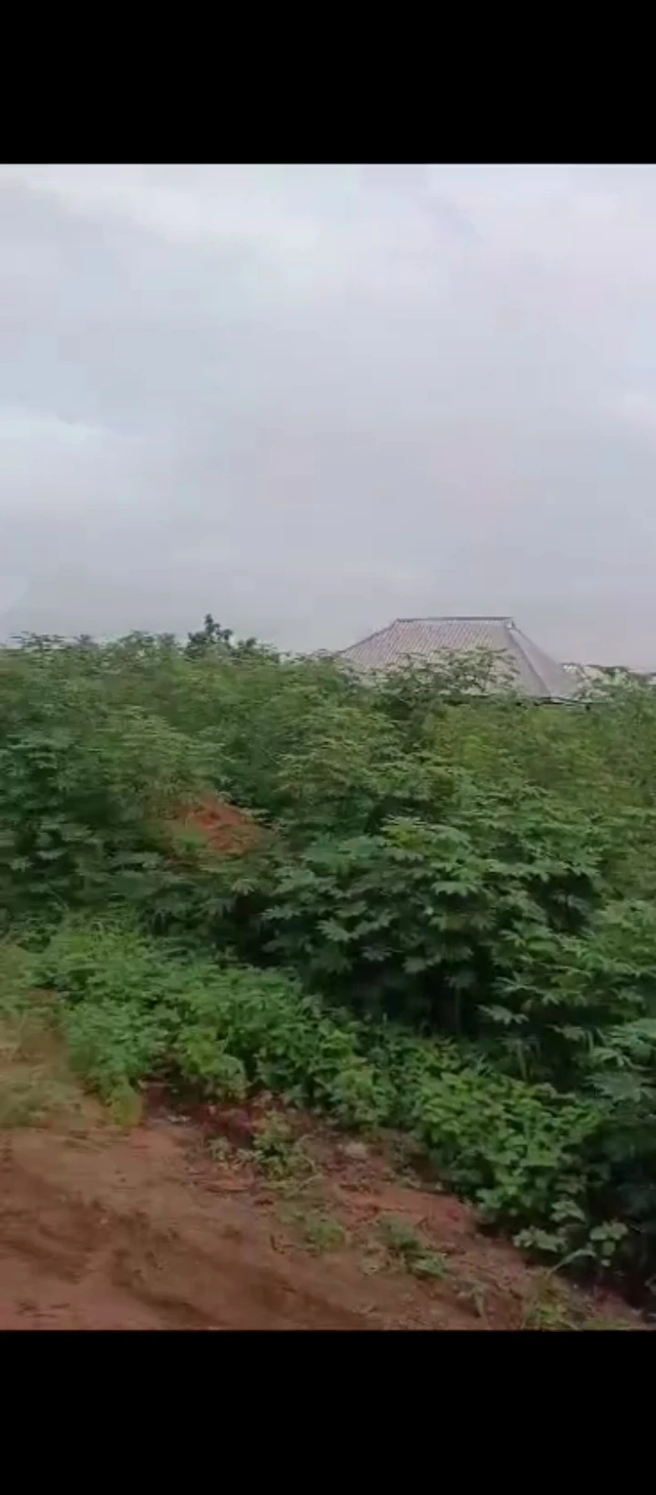 Land for Sale in Airport road, Edo - Image 2