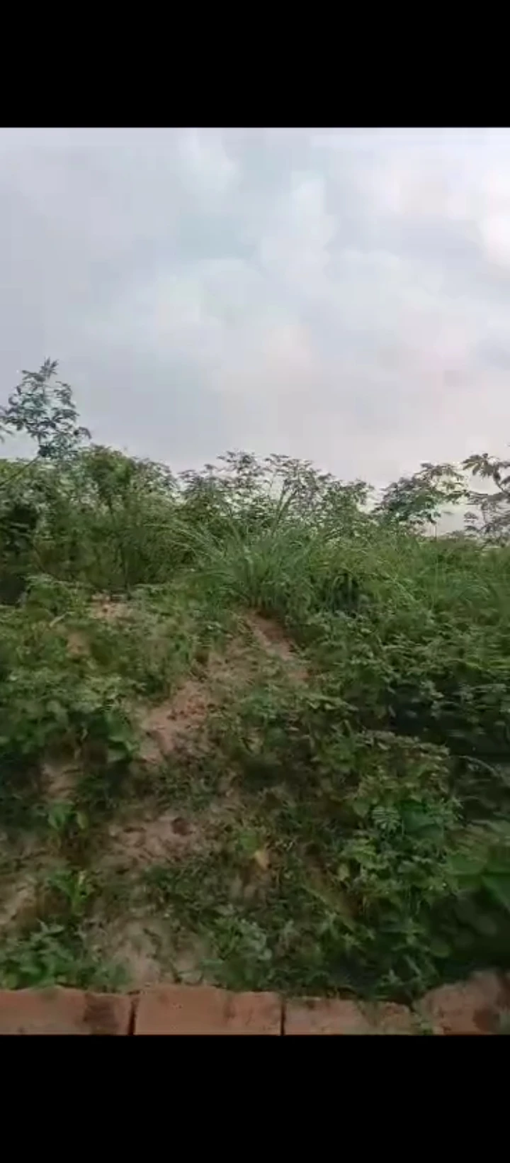 Land for Sale in Airport road, Edo - Image 1