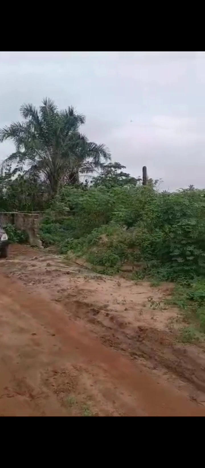Land for Sale in Airport road, Edo - Image 4