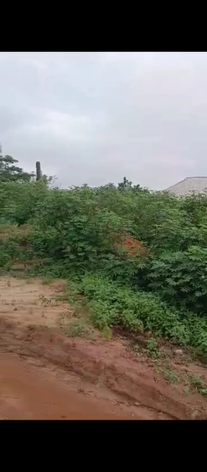Land for Sale in Airport road, Edo - Image 3