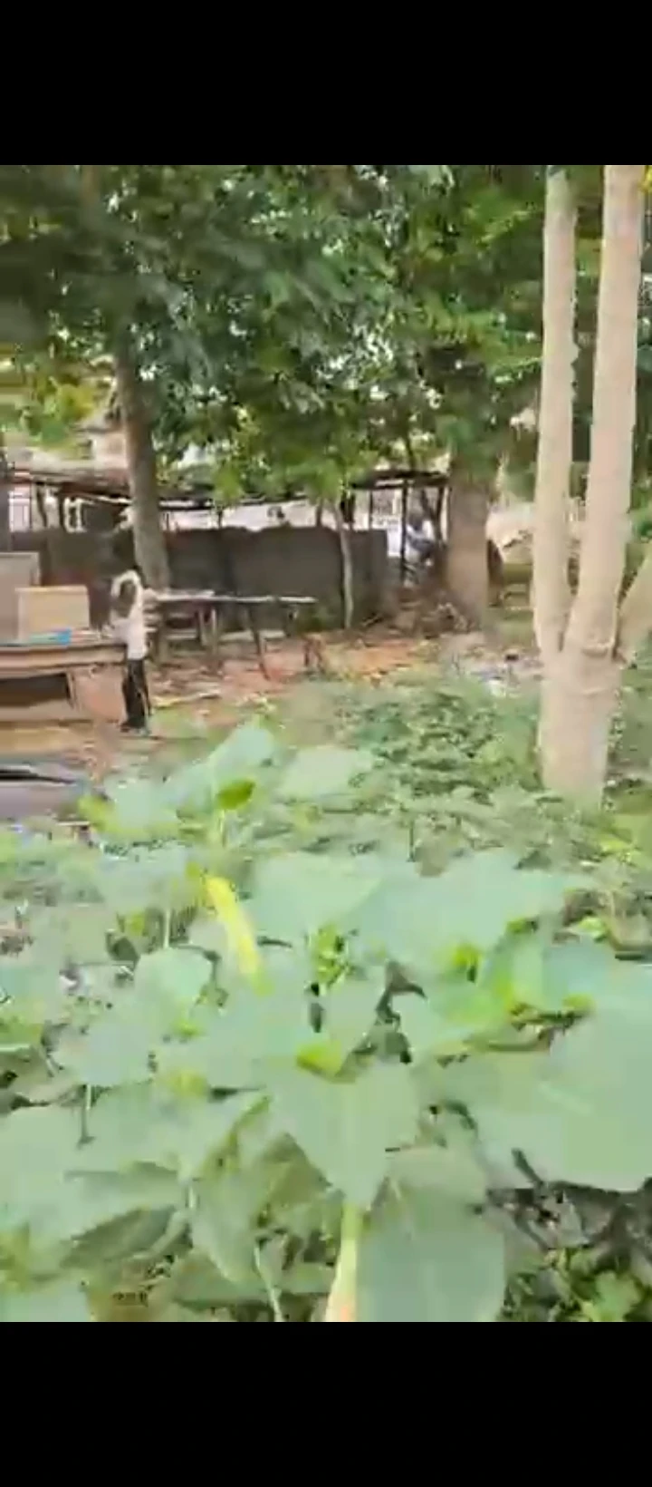Land for Sale in Upper adesuwa, Edo - Image 5