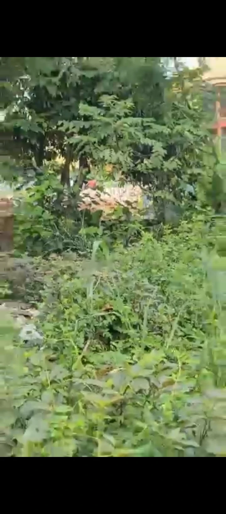 Land for Sale in Upper adesuwa, Edo - Image 6