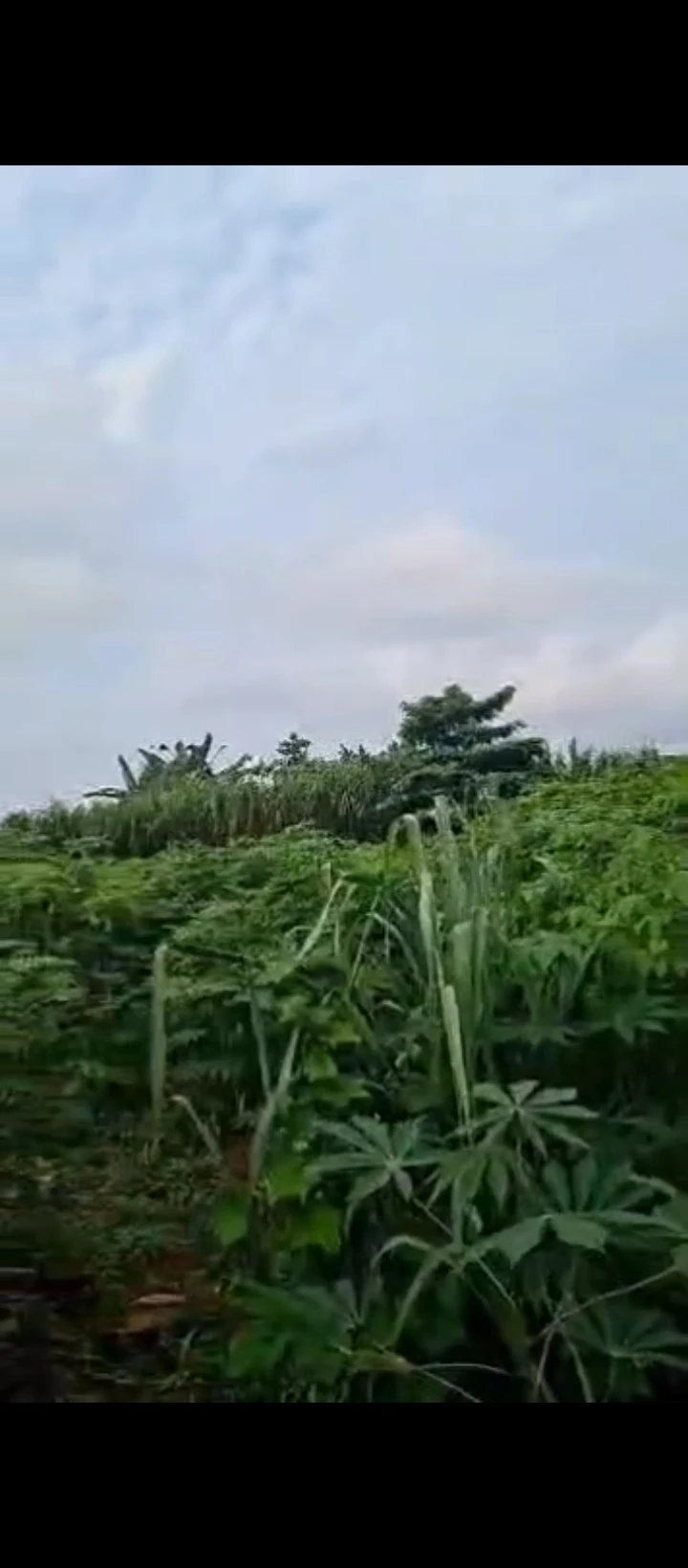 Land for Sale in Isihor, Edo - Image 2