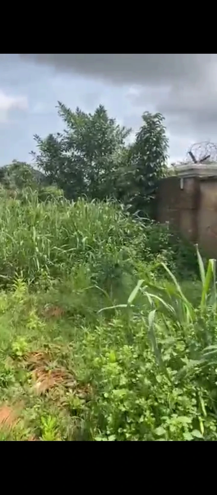 Land for Sale in Ugbor central, Edo - Image 4