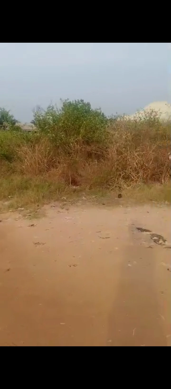 Land for Sale in Itv iguosa, Edo cover picture