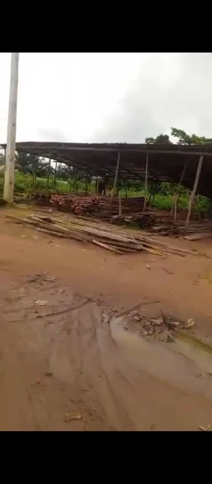 Land for Sale in Upper ekehuan road, Edo cover picture