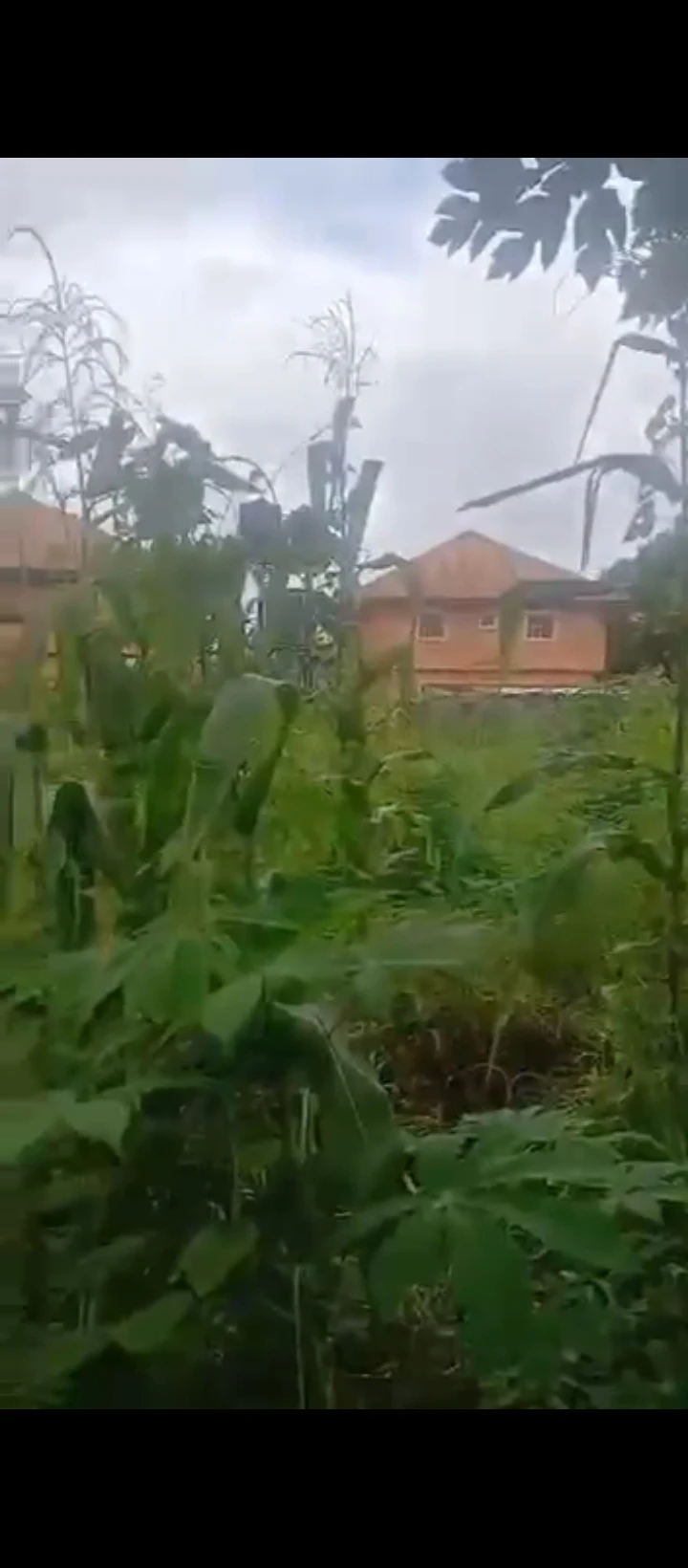 Land for Sale in Airport road, Edo cover picture