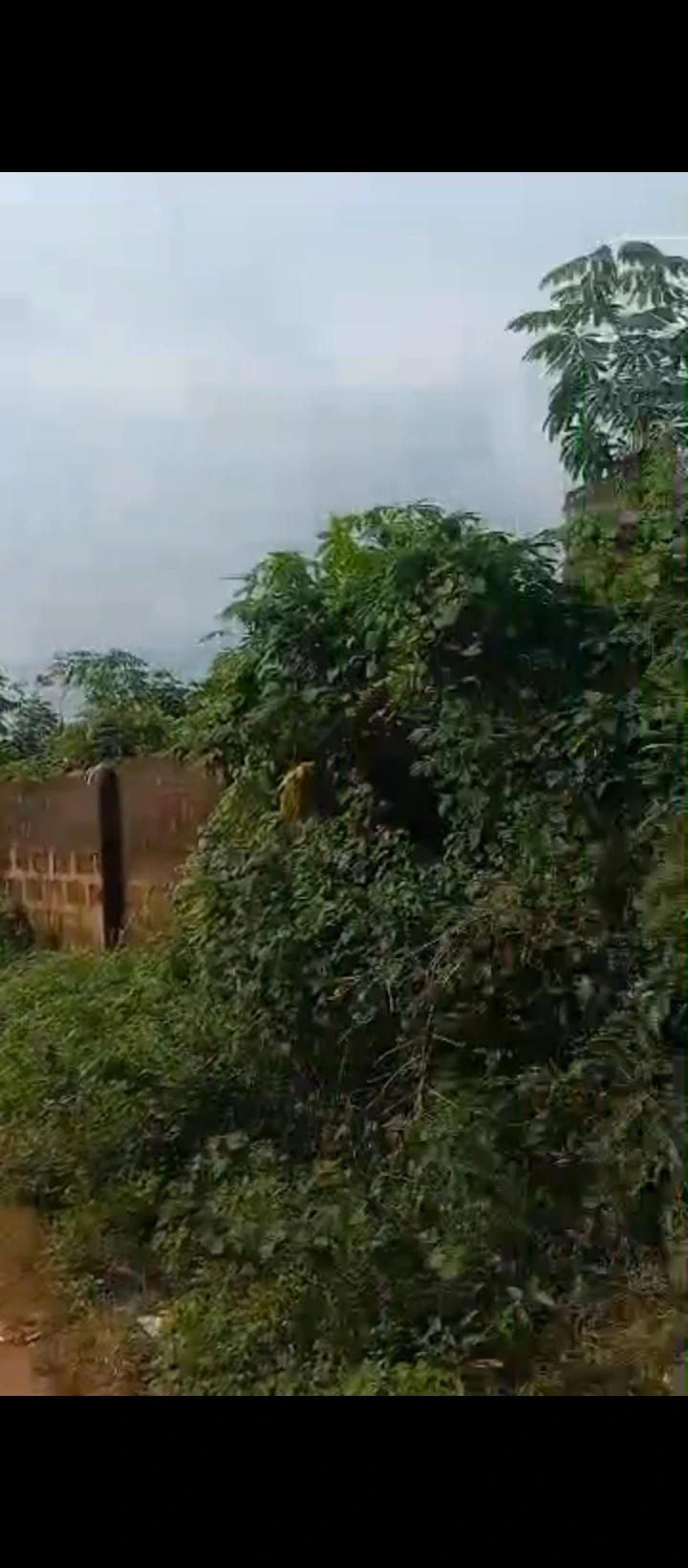 Land for Sale in Ekehuan road, Edo cover picture