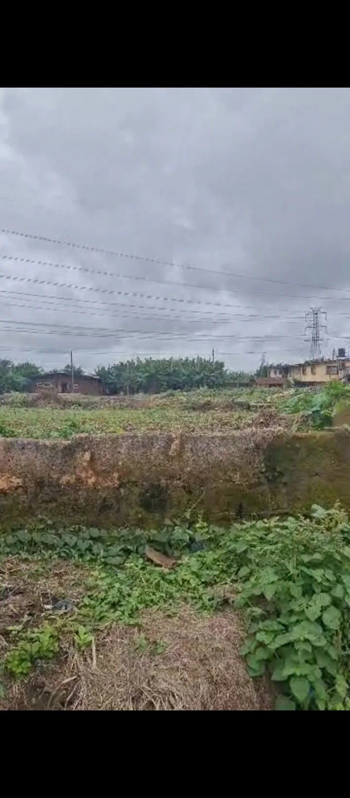 Land for Sale in Erediawa sapele road, Edo cover picture
