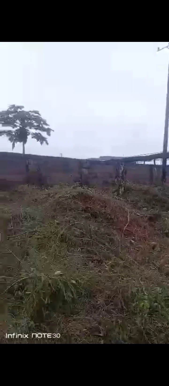 Land for Sale in Amagba, Edo cover picture