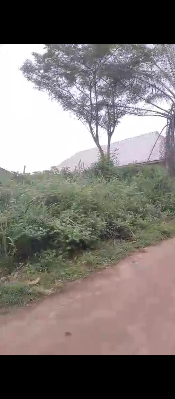 Land for Sale in Arougba airport road, Edo cover picture