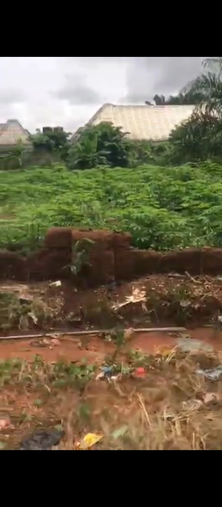 Land for Sale in Oluku, Edo cover picture
