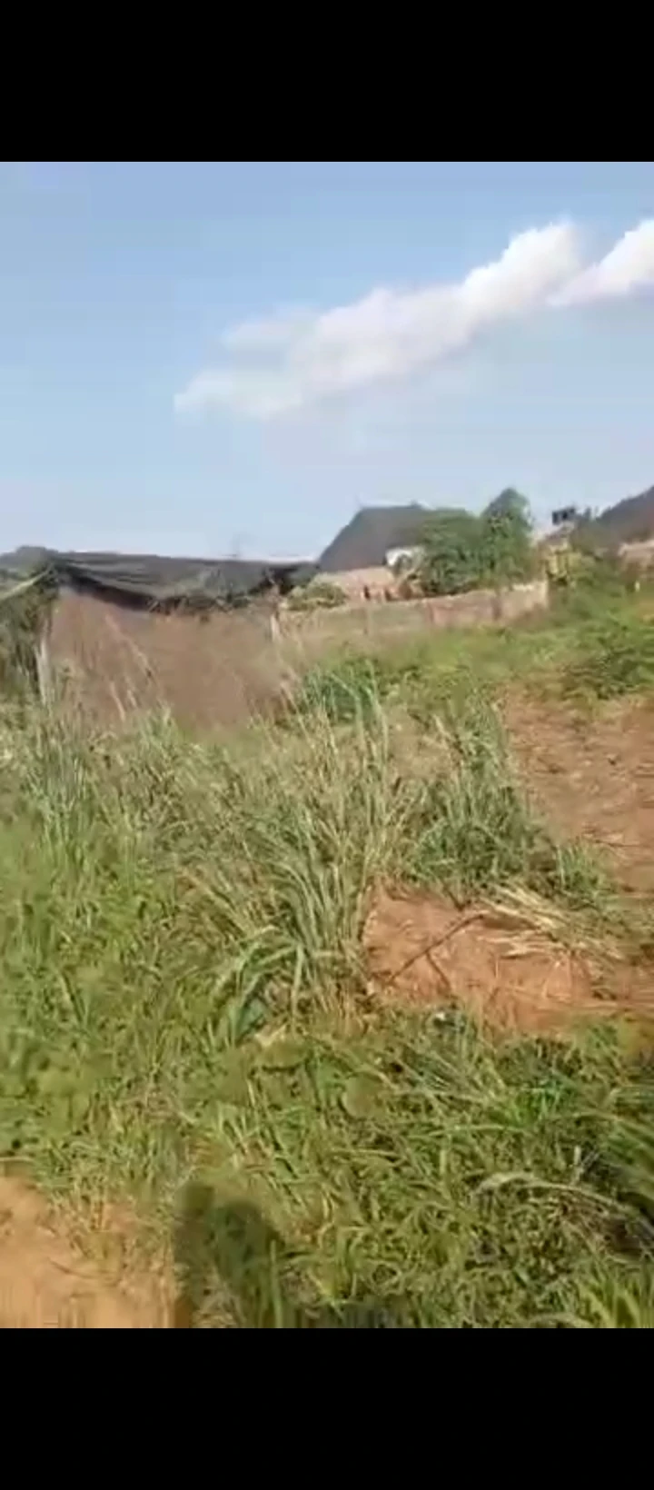 Land for Sale in Uhie community, Edo cover picture