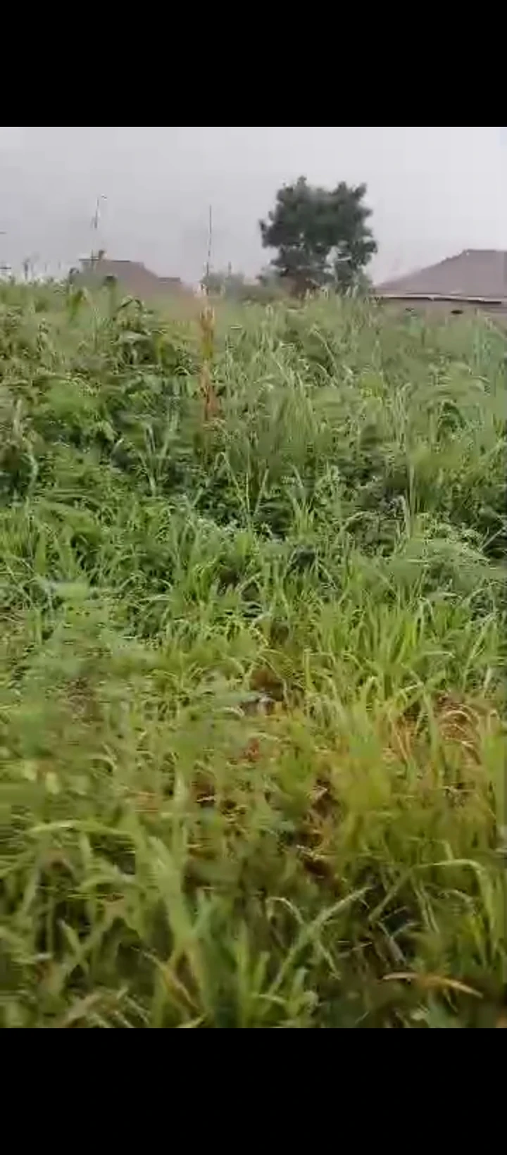 Land for Sale in Ogueka Benin auchi road, Edo cover picture